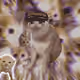7448