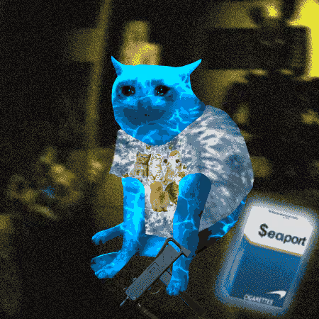 Cash Cat #3862