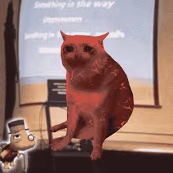 Cash Cat #6236