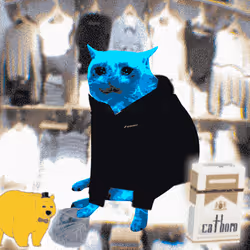 Cash Cat #3114