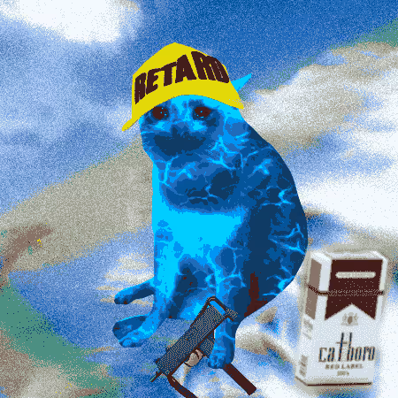Cash Cat #1486