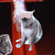 8458