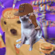 6568