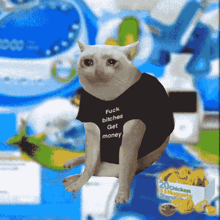 Cash Cat #9789