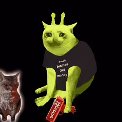 Cash Cat #7235