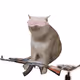 8256