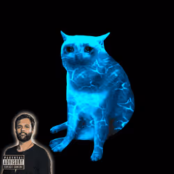 Cash Cat #5080