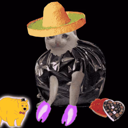 Cash Cat #1985
