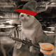 Cash Cat #574