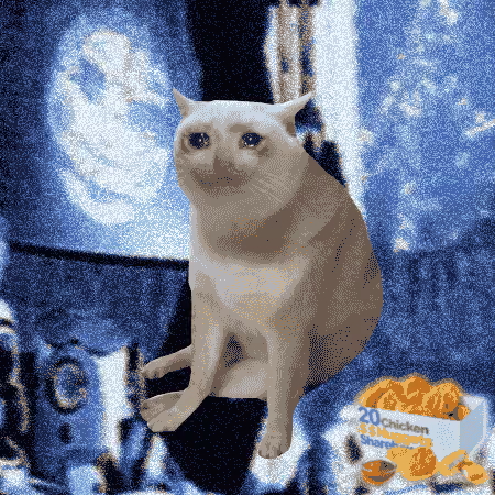 Cash Cat #8694