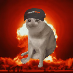 Cash Cat #1195