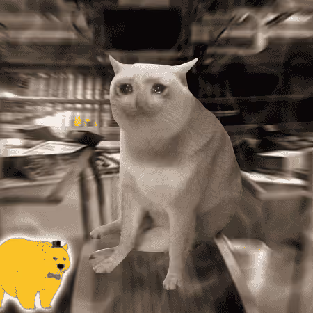 Cash Cat #5944