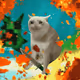 6961