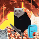 Cash Cat #4672