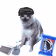 Cash Cat #3170