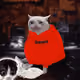 Cash Cat #4760