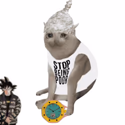 Cash Cat #4427