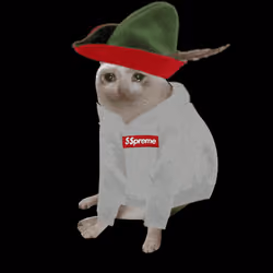 Cash Cat #8352