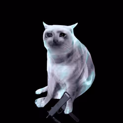 Cash Cat #430