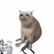 8803