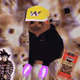 Cash Cat #3122