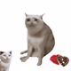 536