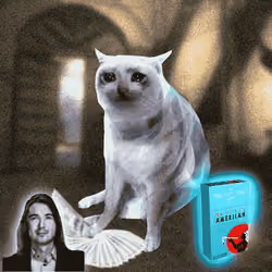 Cash Cat #3086