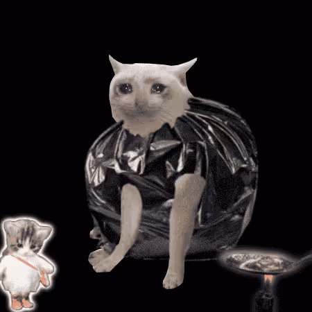 Cash Cat #8387