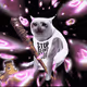 Cash Cat #8586