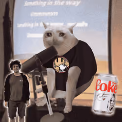 Cash Cat #2135