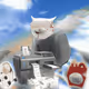 cashcatter