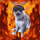 4281