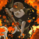 2427