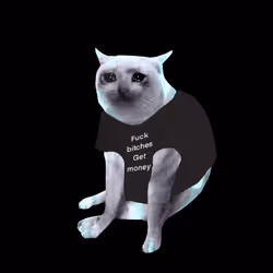 Cash Cat #513