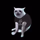 Cash Cat #513
