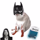 Cash Cat #3897