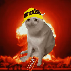 Cash Cat #2692