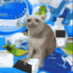 Cash Cat #7732
