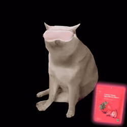 Cash Cat #8582