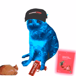 Cash Cat #3412