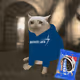 Cash Cat #274