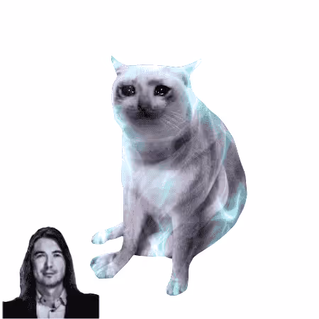 Cash Cat #4589