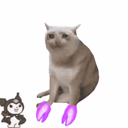 Cash Cat #2911