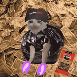 Cash Cat #6754