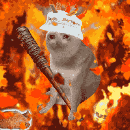 Cash Cat #378