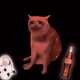 Cash Cat #5917