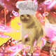 Cash Cat #2380