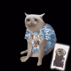 Cash Cat #6659