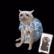 6659