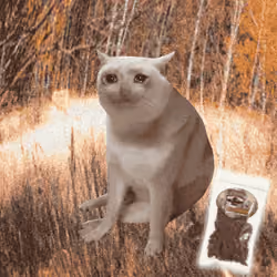 Cash Cat #3256